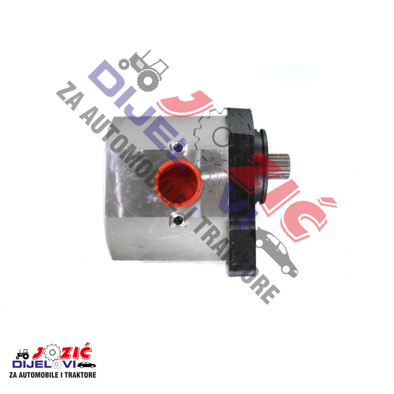 Daisy on the Ohoopee